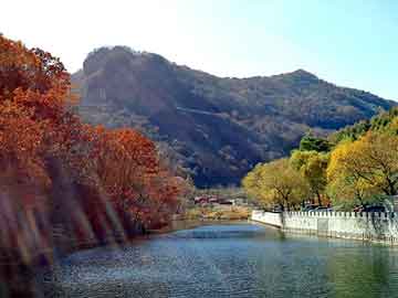 管家婆黑白马报图库，五家渠物流